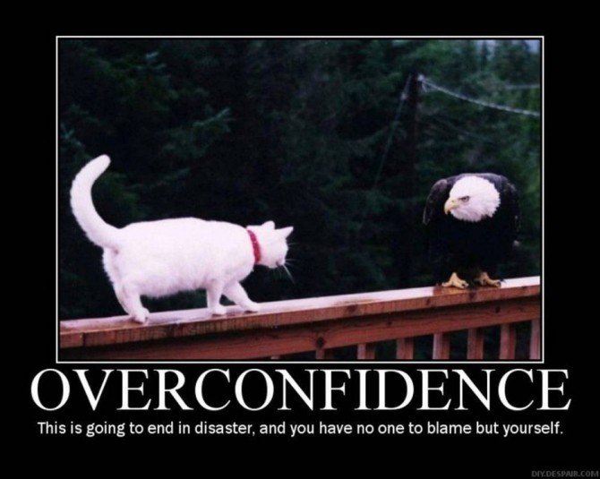 funny-inspirational-quote-about-overconfidence-and-the-picture-of-the-cat-humorous-quotes-about-life-just-for-you-936x748
